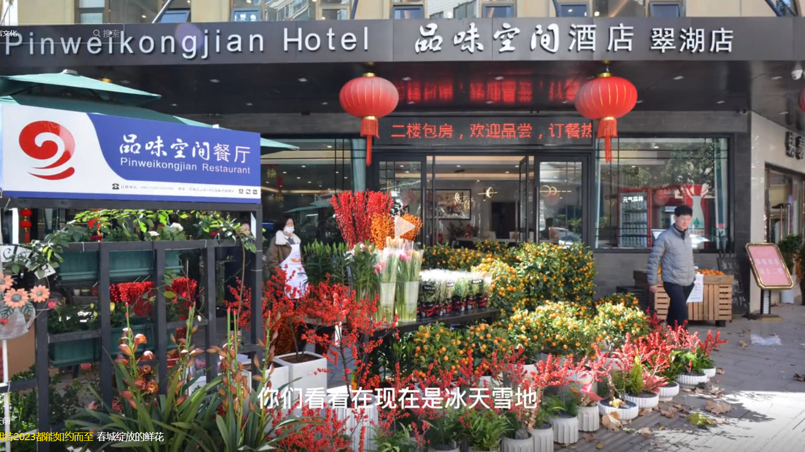 春城绽放的鲜花